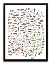 plakat-a3-30x40-w-ramie-tmp-edu-04