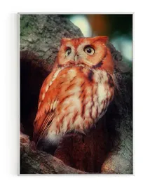 plakat-a3-30x40-w-ramie-rmp-ptak-03
