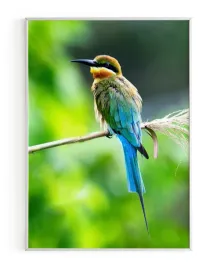 plakat-a3-30x40-w-ramie-rmp-ptak-07
