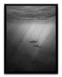 plakat-a3-30x40-w-ramie-tmp-czarne-03