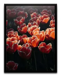 plakat-a3-30x40-w-ramie-tmp-kwiaty-03