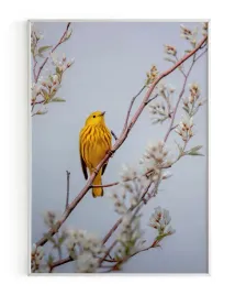 plakat-a3-30x40-w-ramie-rmp-ptak-05
