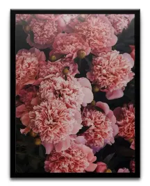 plakat-a3-30x40-w-ramie-tmp-kwiaty-08