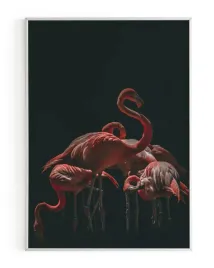 plakat-a3-30x40-w-ramie-rmp-ptak-08