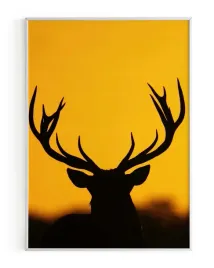 plakat-a3-30x40-w-ramie-rmp-jelen-05