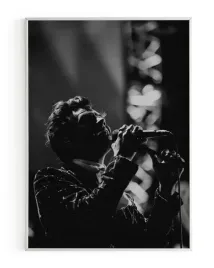 plakat-a3-30x40-w-ramie-rmp-harry-styles-10