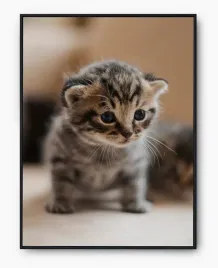 plakat-a3-30x40-w-ramie-imp-zwierzatka-cute-06