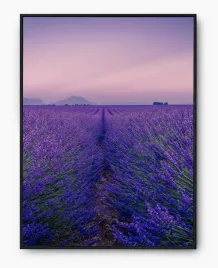 plakat-a3-30x40-w-ramie-imp-lawenda-03