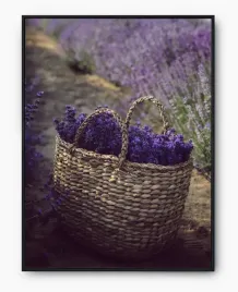 plakat-a3-30x40-w-ramie-imp-lawenda-09