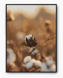 plakat-a3-30x40-w-ramie-imp-bawelna-05