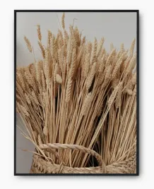 plakat-a3-30x40-w-ramie-imp-zboze-07