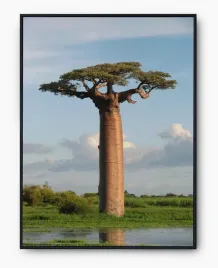 plakat-a3-30x40-w-ramie-imp-afryka-07