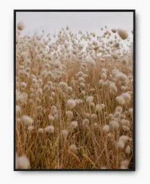 plakat-a3-30x40-w-ramie-imp-bawelna-01