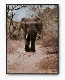 plakat-a3-30x40-w-ramie-imp-afryka-06