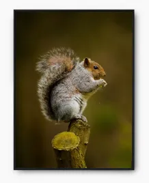plakat-a3-30x40-w-ramie-imp-zwierzatka-cute-09