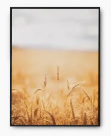 plakat-a3-30x40-w-ramie-imp-zboze-06