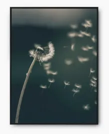 plakat-a3-30x40-w-ramie-imp-dmuchawiec-01