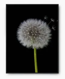 plakat-a3-30x40-w-ramie-imp-dmuchawiec-03