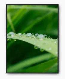 plakat-a3-30x40-w-ramie-imp-trawa-20