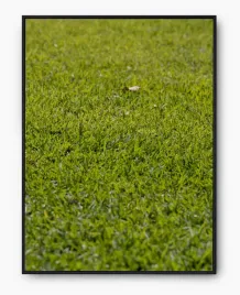 plakat-a3-30x40-w-ramie-imp-trawa-17