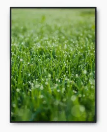 plakat-a3-30x40-w-ramie-imp-trawa-16
