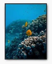 plakat-a3-30x40-w-ramie-imp-morze-05