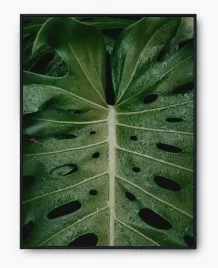 plakat-a3-30x40-w-ramie-imp-monstery-19
