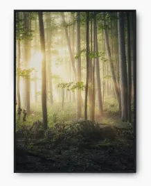 plakat-a3-30x40-w-ramie-imp-las-03