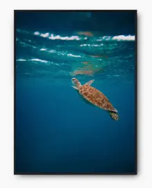 plakat-a3-30x40-w-ramie-imp-morze-01