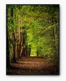 plakat-a3-30x40-w-ramie-imp-las-01