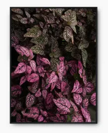 plakat-a3-30x40-w-ramie-imp-liscie-13