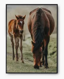 plakat-a3-30x40-w-ramie-imp-konie-19