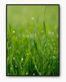 plakat-a3-30x40-w-ramie-imp-trawa-01
