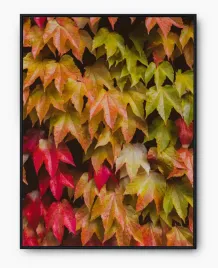 plakat-a3-30x40-w-ramie-imp-liscie-17