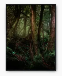 plakat-a3-30x40-w-ramie-imp-las-20