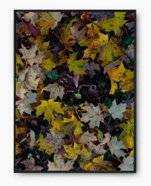 plakat-a3-30x40-w-ramie-imp-liscie-10