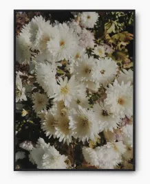 plakat-a3-30x40-w-ramie-imp-kwiaty-02