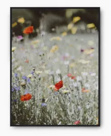 plakat-a3-30x40-w-ramie-imp-kwiaty-19