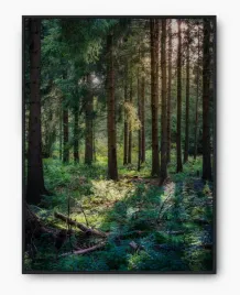plakat-a3-30x40-w-ramie-imp-las-09