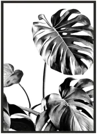 plakat-bez-ramy-a5-13x18-duzo-wzorow-monstera-06