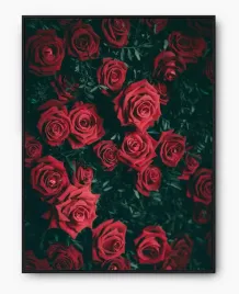 plakat-a3-30x40-w-ramie-imp-kwiaty-05