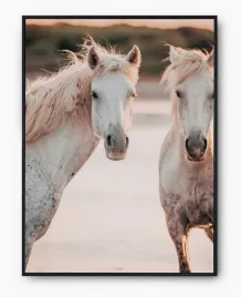 plakat-a3-30x40-w-ramie-imp-konie-12