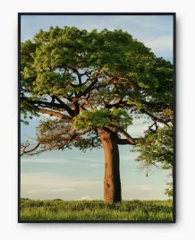 plakat-a3-30x40-w-ramie-imp-natura-06