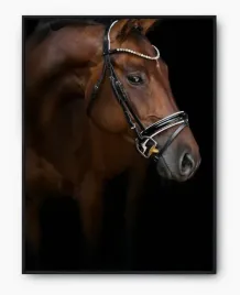 plakat-a3-30x40-w-ramie-imp-konie-09