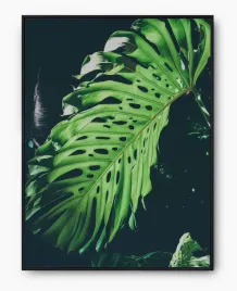 plakat-a3-30x40-w-ramie-imp-monstery-16