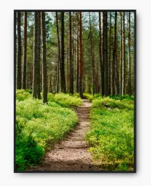 plakat-a3-30x40-w-ramie-imp-las-16