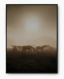 plakat-a3-30x40-w-ramie-imp-konie-14
