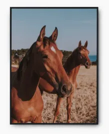 plakat-a3-30x40-w-ramie-imp-konie-07