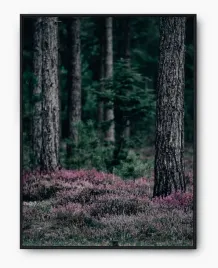 plakat-a3-30x40-w-ramie-imp-las-11