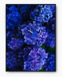 plakat-a3-30x40-w-ramie-imp-kwiaty-06